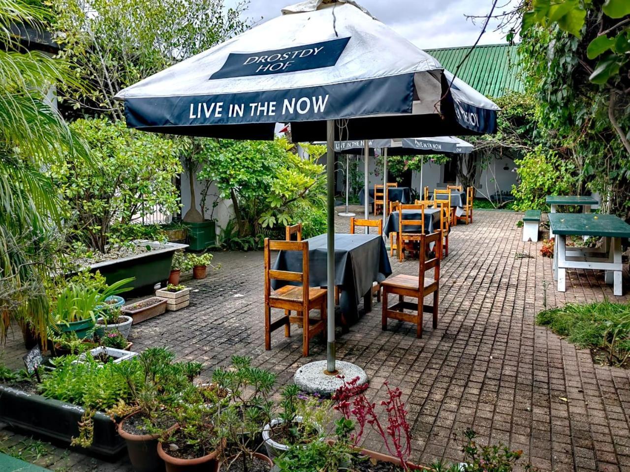 Albertinia Hotel Екстериор снимка